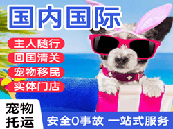 莎车叶尔羌机场邮寄国际宠物托运 【国